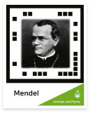 mendel