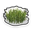 grass_2