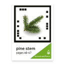 pinestem